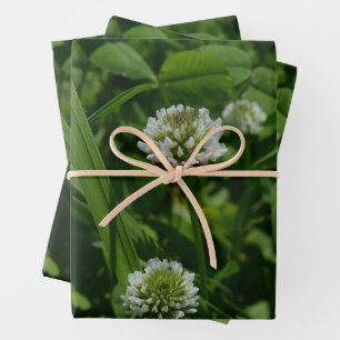 Feuille De Papier Cadeau Clocher blanc dans une prairie verte