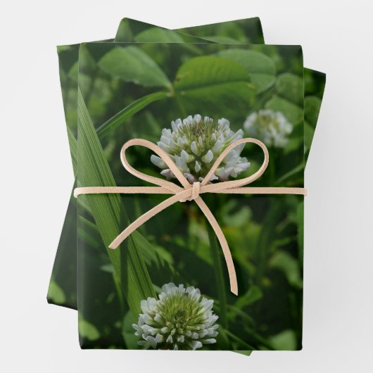 Feuille De Papier Cadeau Clocher blanc dans une prairie verte (En situation)