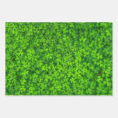 Feuille De Papier Cadeau Clochers shamrocks (Devant)