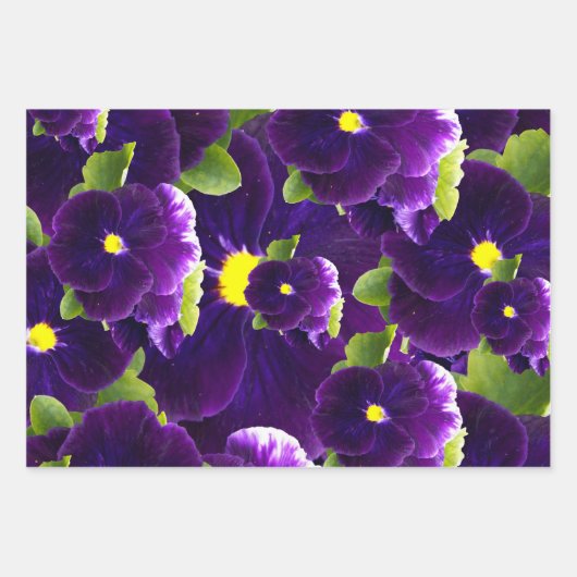 Feuille De Papier Cadeau Clusters de Pansy Profond Violet : Beauté majestue (Devant 3)