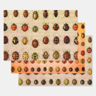 Feuille De Papier Cadeau Coccinelle Insecte Coléoptère