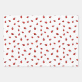 Feuille De Papier Cadeau Coccinelles et Pissenlits (Devant 3)