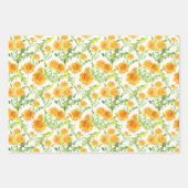 Feuille De Papier Cadeau Coccinelles et Pissenlits (Devant 2)