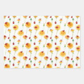 Feuille De Papier Cadeau Coccinelles et Pissenlits (Devant)