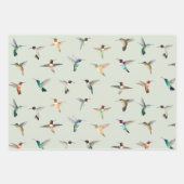 Feuille De Papier Cadeau Colibri nord-américain (Devant 3)