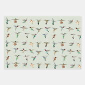 Feuille De Papier Cadeau Colibri nord-américain (Devant 2)