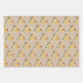 Feuille De Papier Cadeau Colibris d'Amérique du Nord Pattern (Devant 3)