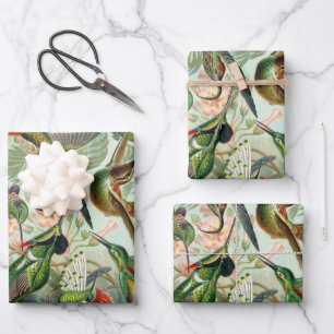 Feuille De Papier Cadeau Colibris par Ernst Haeckel, Oiseaux Arbres Vintage