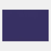 Feuille De Papier Cadeau Conception de Texas Blue Bonnet Blitz (Devant 3)