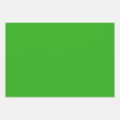 Feuille De Papier Cadeau Conception de Texas Blue Bonnet Blitz (Devant 2)