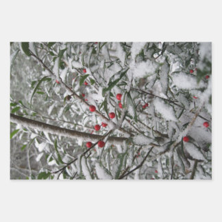 Feuille De Papier Cadeau Congelé