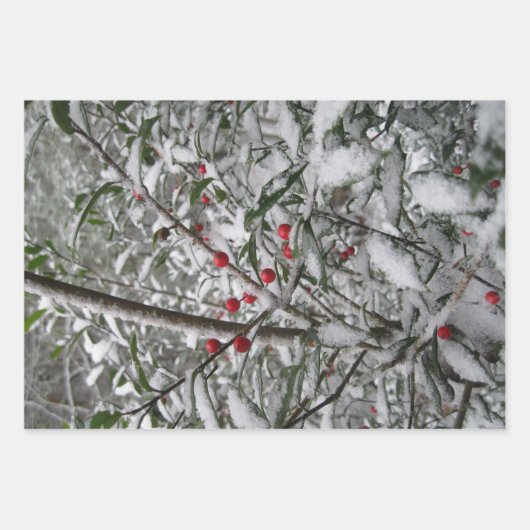 Feuille De Papier Cadeau Congelé (Devant 3)