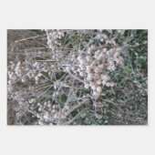 Feuille De Papier Cadeau Congelé (Devant)