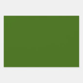 Feuille De Papier Cadeau Conifer Green (Devant)
