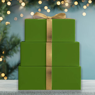 Feuille De Papier Cadeau Conifer Green