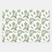 Feuille De Papier Cadeau Conifère, pinèdes et cônes (Devant 3)