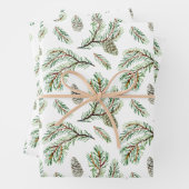 Feuille De Papier Cadeau Conifère, pinèdes et cônes (En situation)