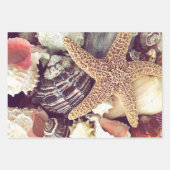 Feuille De Papier Cadeau Coques de plage (Devant 3)