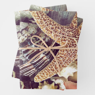 Feuille De Papier Cadeau Coquillages de Plage
