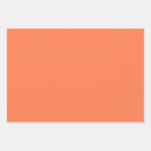 Feuille De Papier Cadeau Corail Uni (Devant)