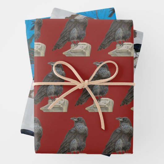 Feuille De Papier Cadeau Corvid (En situation)