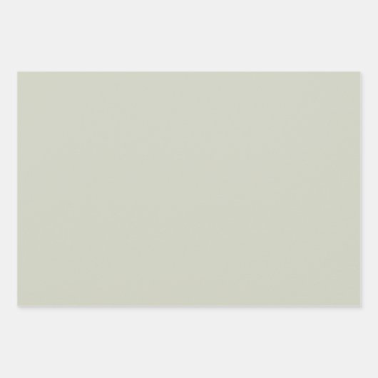 Feuille De Papier Cadeau Couleur blanche (Devant)