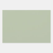 Feuille De Papier Cadeau Couleur claire et verte (Devant)