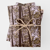 Feuille De Papier Cadeau Couleur par les arbres (En situation)