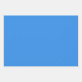 Feuille De Papier Cadeau Couleur solide Bleu de France (Devant 3)