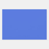 Feuille De Papier Cadeau Couleur solide bleue royale | Classique | Élégant (Devant 3)