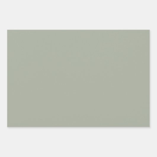 Feuille De Papier Cadeau Couleur solide Désert Sage (Devant)