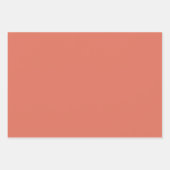 Feuille De Papier Cadeau Couleur solide en terre cuite (Devant 2)