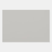 Feuille De Papier Cadeau Couleur solide gris clair (Devant 2)