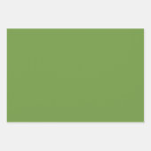 Feuille De Papier Cadeau Couleur solide Limeade | Classique | Élégant (Devant)