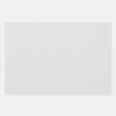 Feuille De Papier Cadeau Couleur solide platine (Devant)