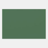 Feuille De Papier Cadeau Couleur solide vert chasseur | Classique | Élégant (Devant)