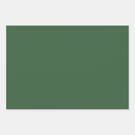 Feuille De Papier Cadeau Couleur solide vert chasseur | Classique | Élégant (Devant)