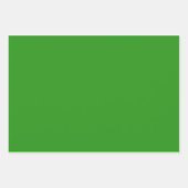 Feuille De Papier Cadeau Couleur solide vert mince (Devant)