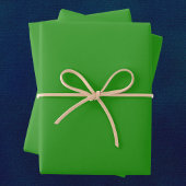 Feuille De Papier Cadeau Couleur solide vert mince