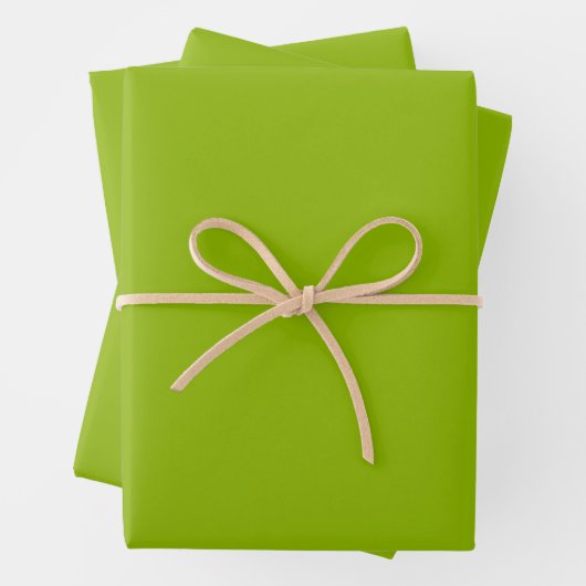 Feuille De Papier Cadeau Couleur solide vert pomme | Classique | Élégant (En situation)