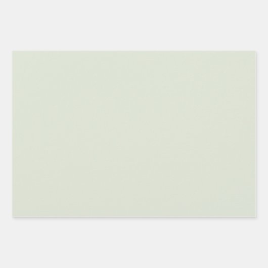 Feuille De Papier Cadeau Couleur solide vert Whisper (Devant 2)