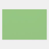 Feuille De Papier Cadeau Couleur solide verte à la noix de pistache (Devant 3)