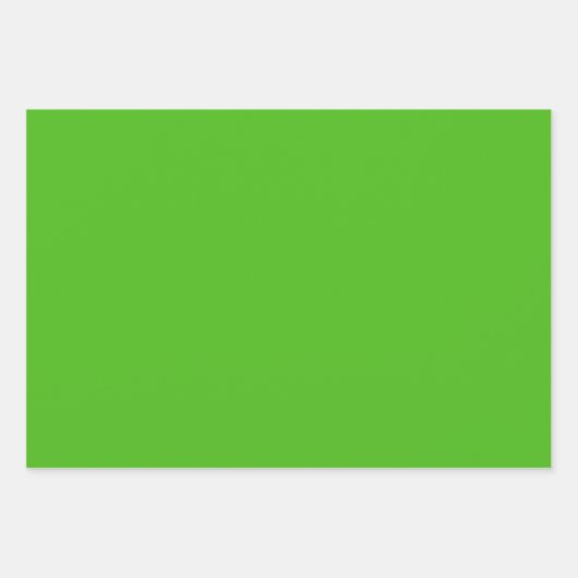 Feuille De Papier Cadeau Couleur solide verte Kelly | Classique | Élégant (Devant 2)