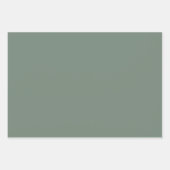 Feuille De Papier Cadeau Couleur solide Xanadu (Devant)