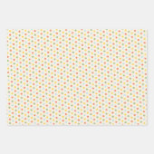 Feuille De Papier Cadeau Couleurs naturelles blanchies au soleil Motif mixt (Devant 2)