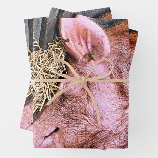 FEUILLE DE PAPIER CADEAU COUPER (En situation)