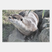 FEUILLE DE PAPIER CADEAU COUPER OTTER (Devant 3)