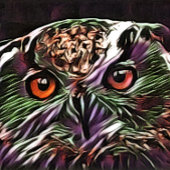 FEUILLE DE PAPIER CADEAU COUPER OWL