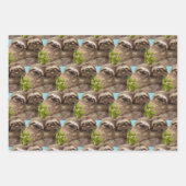 Feuille De Papier Cadeau Couple de paresseux (Devant 3)