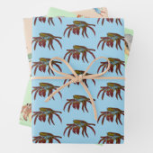 Feuille De Papier Cadeau Crabes (En situation)